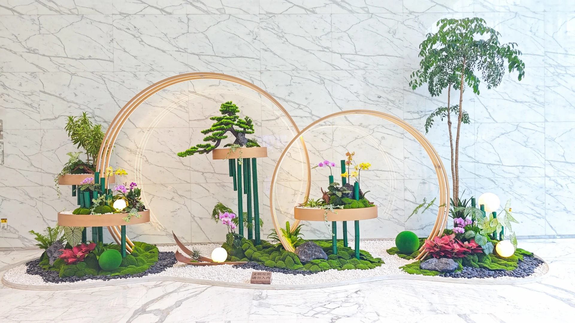 余姚专业花木租赁,花卉绿植装点美好生活